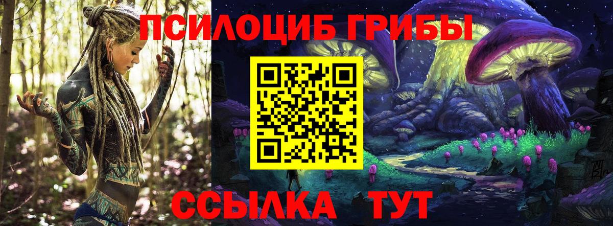 Псилоцибиновые грибы GOLDEN TEACHER  Вход с VPN  Псилоцибиновые грибы мухоморы  где продают наркотики  Старый Оскол 