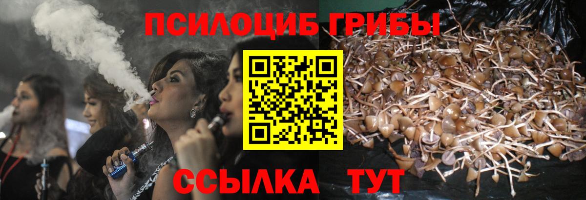 Псилоцибиновые грибы прущие грибы Старый Оскол